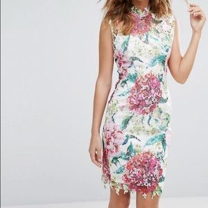 Amazing floral lace dress!